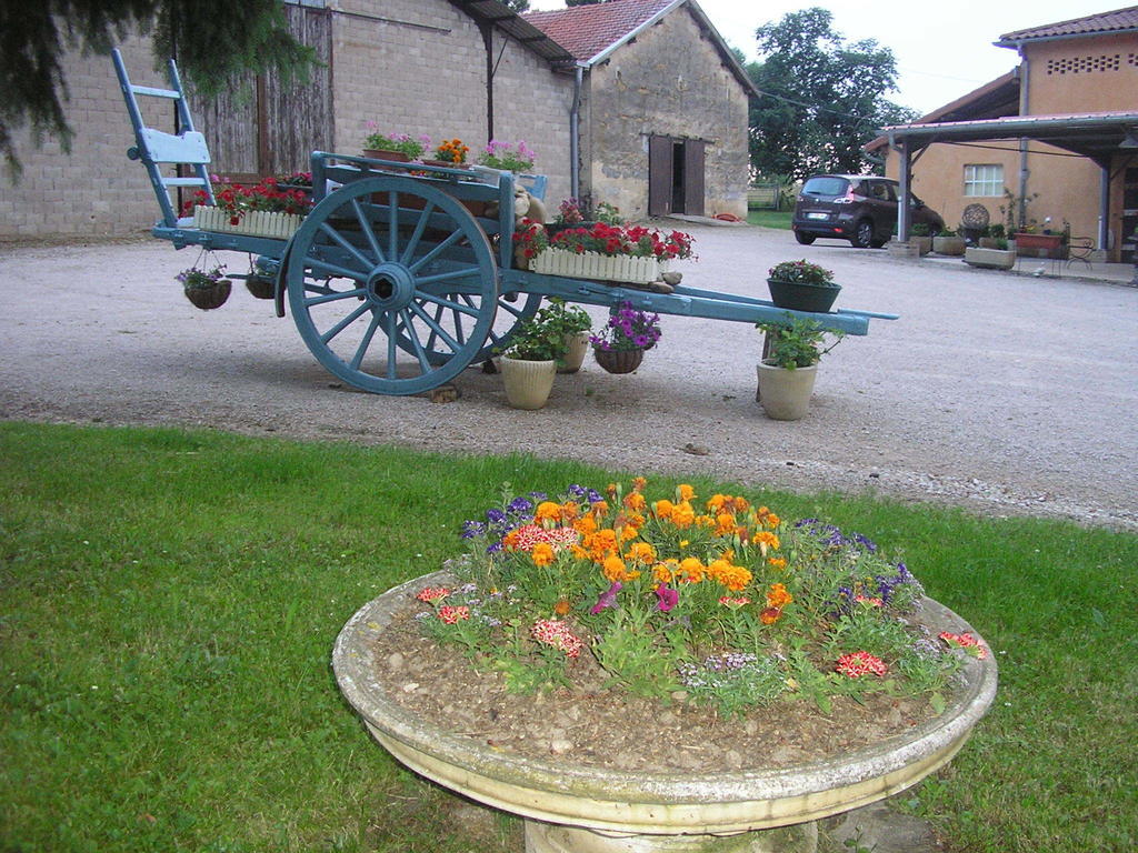 Domaine De La Belliere Hotel Villars-les-Dombes Exterior foto